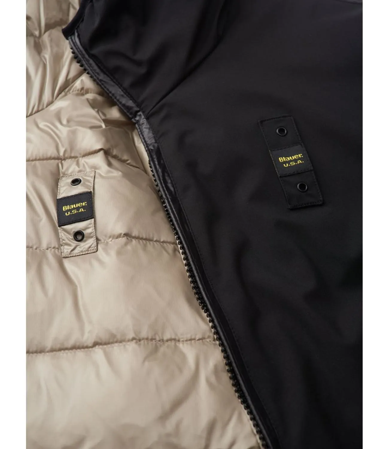 Brand BLAUER Giubbino Blauer in neoprene nero corto Ballard